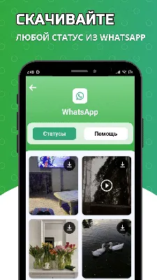 2021 Все о архивах WhatsApp, вы должны знать
