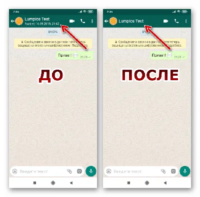 Как посмотреть статус в Ватсапе