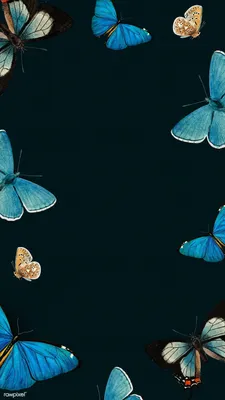 Айфон обои бабочки на телефон - 73 фото