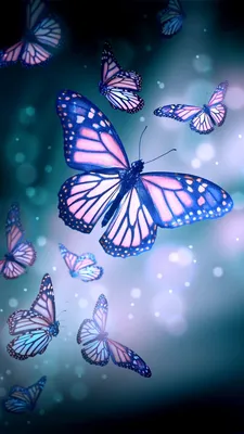 Бабочки картинки на телефон - 77 фото