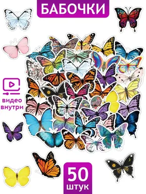 Картинки на телефон бабочки фотографии