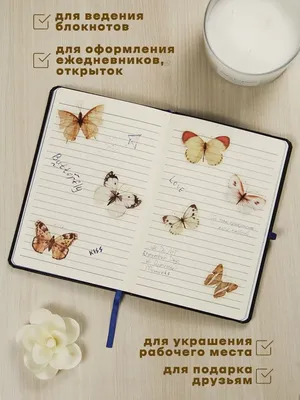 Бабочки картинки на телефон - 77 фото