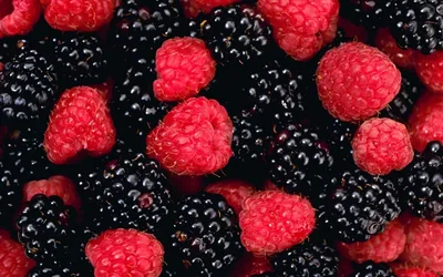 Обои ягоды и малина, клубника, Blackberry, Черника, ягоды на телефон  Android, 1080x1920 картинки и фото бесплатно