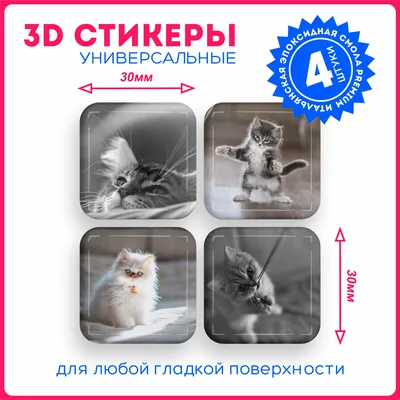 Наклейки на телефон 3d стикеры объемные кошки и коты мем v88 - купить с  доставкой по выгодным ценам в интернет-магазине OZON (1073721633)