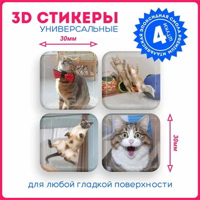Наклейки на телефон 3d стикеры объемные кошки и коты мем v23 - купить с  доставкой по выгодным ценам в интернет-магазине OZON (1071947329)