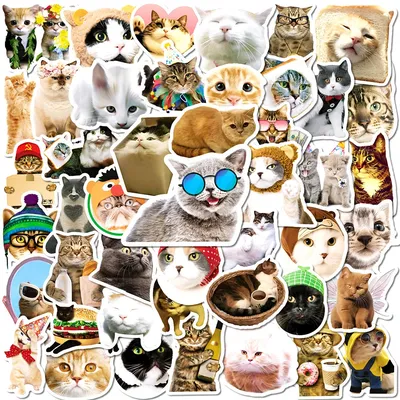 ОБОИ НА ТЕЛЕФОН КОТ CAT | Cute cat memes, Cat wallpaper, Cute baby animals