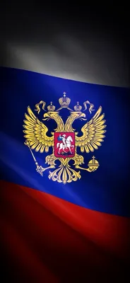 Флаг РФ | Графические обои, Рисунки чикано, Цветочные иллюстрации