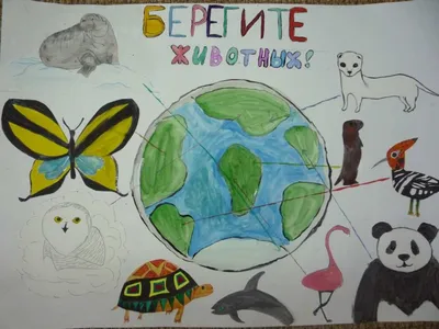 Творческий конкурс «бЕРегите животных!» проводит «Единая Россия» в  Иркутской области — Защита животного мира