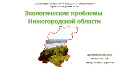 Главный враг природы обладает сознанием, значит, до него можно  достучаться»: как современное искусство помогает решать экологические  проблемы