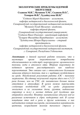 Презентация на тему: \"Экологические проблемы Нижегородской области\"