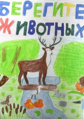 Рисунки и картинки на тему берегите животных для учеников 3 класса