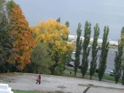 Стихи на тему «Осень в городе» (7 фото). Воспитателям детских садов,  школьным учителям и педагогам - Маам.ру