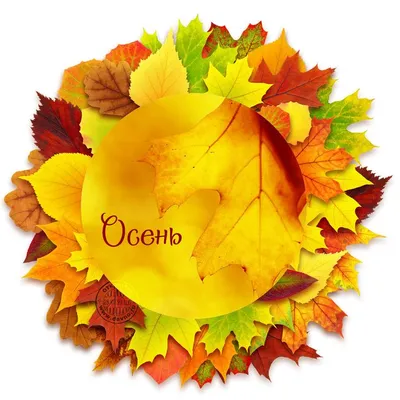 Открытка на тему осени | Осень, Поздравительные открытки, Открытки