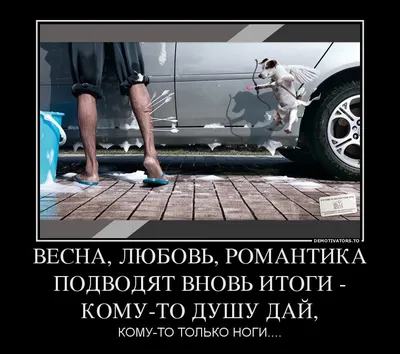 Весна близко. В Приднестровье готовятся отметить праздник возрождения  природы «Мэрцишор» | Новости Приднестровья