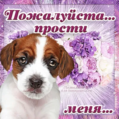 Картинки на тему прости