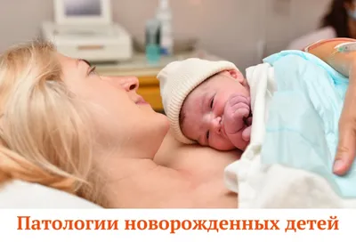Подборка букетов, композиций и подарков на тему Рождение ребенка в Москве |  Цветочные Рецепты