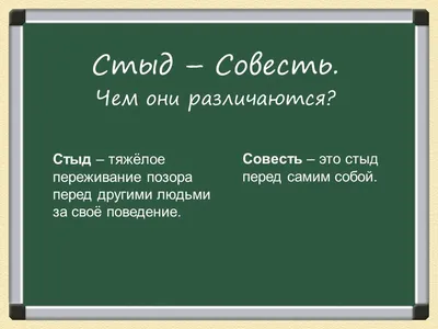 Что такое свобода совести и вероисповедания?🎓Термины ЕГЭ - обществознание  - YouTube