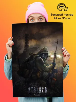 Толстовка с 3D принтом на тему: Сталкер STALKER Детские и взрослые размеры  (ID#1522789011), цена: 1750 ₴, купить на Prom.ua