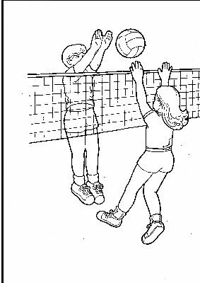 Мальчик Играет В Волейбол — стоковая векторная графика и другие изображения  на тему В помещении - В помещении, Векторная графика, Взрослый - iStock