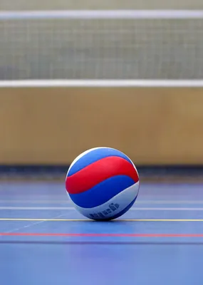 5 вопросов на тему волейбол. Посмотрим на сколько ты знаток | Лучшая игра -  Волейбол | Дзен