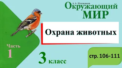 Презентация на тему: \"Охрана животных.\". Скачать бесплатно и без  регистрации.