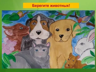 В Баку презентуют проект на тему защиты животных #WeLoveAnimals – ФОТО |  1news.az | Новости