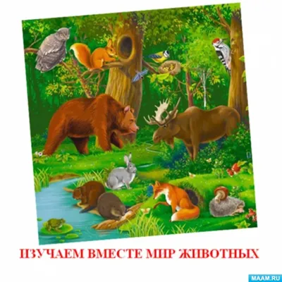 Презентация на тему \"животные Урала\"