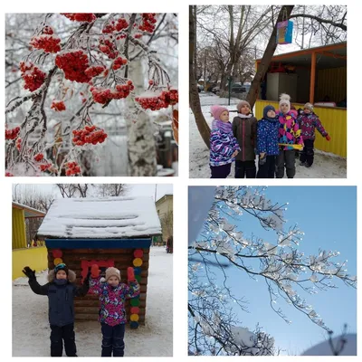 Поделки на тему зима своими руками (113 фото): шаблоны и технология  изготовления зимних поделок в школу и детский сад