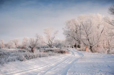 Рисунок Зима пришла №268134 - «Зимняя сказка» (12.12.2021 - 09:14)