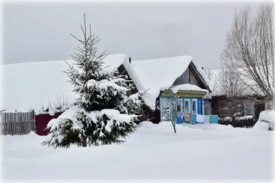 Картинки зима снег деревня (67 фото) » Картинки и статусы про окружающий  мир вокруг