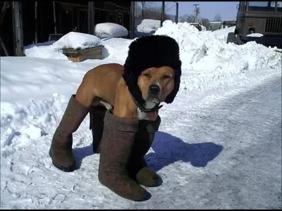 Зима в деревне.