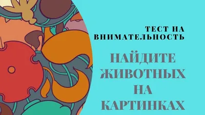 Психологические тесты — специальная картинка поможет проверить  наблюдательность