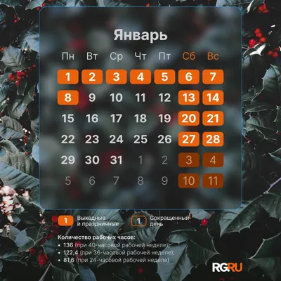 Выходные и праздники в декабре 2023 года: производственный календарь,  рабочие часы в декабре: Общество: Россия: Lenta.ru