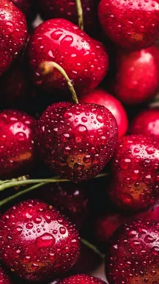 Обои вишня, ягоды, свежая вишня, фрукты, пища для iPhone 6S+/7+/8+  бесплатно, заставка 1080x1920 - скачать картинки и фото
