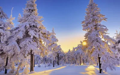 Зима, Пейзажи, Снег - картинка на рабочий стол | Скачать ТОП Бесплатно  картинки