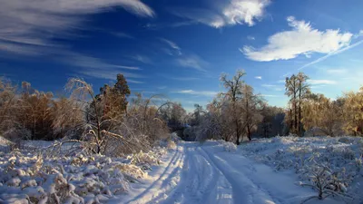 Nature Winter HD Wallpaper