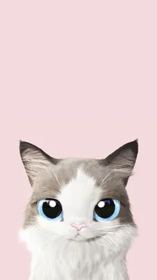 Заставка на телефон кот | Watercolor wallpaper iphone, Iphone wallpaper  hipster, Cat wallpaper