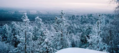 17 вариантов того, как провести зиму на Урале — Наш Урал и весь мир