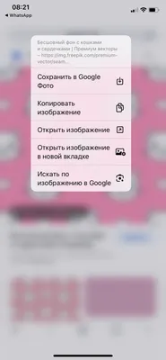 Как скопировать текст с фото и видео на Mac, iPad и iPhone? - i-Store