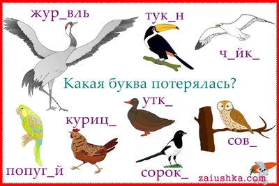 Блокнот с заданиями IQничка. Алфавит от А до Я: Ищем буквы. Обводим и  раскрашиваем. Придумываем новые слова. Воображаем и рисуем. От 4 лет –  купить по цене: 48,60 руб. в интернет-магазине УчМаг