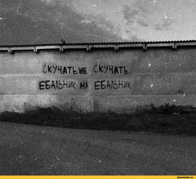 Надписи на стенах бывают разные. | Пикабу