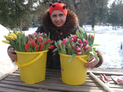 В Воронеже проверили продавцов тюльпанов и мимоз накануне 8 Марта