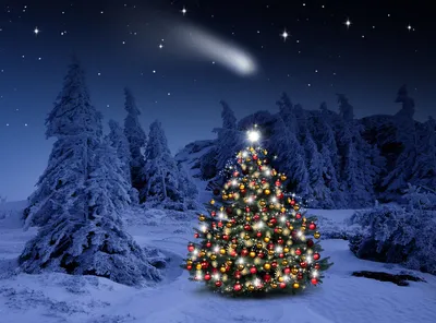 Кейт Миддлтон опубликовала рождественскую фотографию возле наряженной елки  | U-mama.ru | Дзен