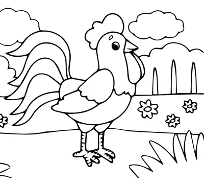 реалистичный нарисованный петух птица стикер - TenStickers
