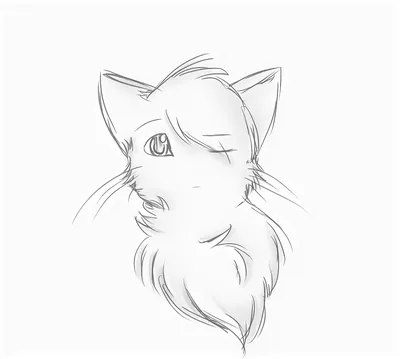 Нарисованная кошка карандашом - 79 фото