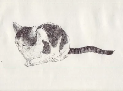 Рисунок котенка, нарисованный вручную мультфильм милый кот гуляет,  акварель, ребенок, млекопитающее png | PNGWing