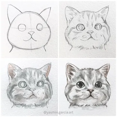 Рисунок кошки простым карандашом - скачать (29 шт.)