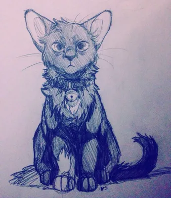 Котик нарисованный карандашом - 61 фото