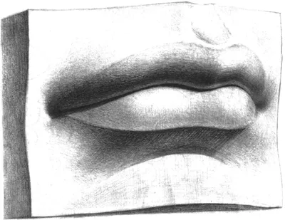 Основы рисования. Губы | Lips drawing, Mouth drawing, Drawings