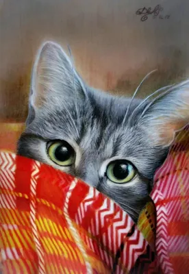 Милый красочный комплект котов нарисованных рукой с цветками и листьями  хворостин Иллюстрация вектора - иллюстрации насчитывающей график,  разведенными: 68426825